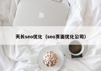 天长seo优化（seo页面优化公司）
