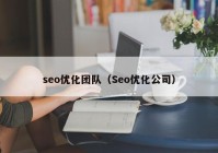 seo优化团队（Seo优化公司）