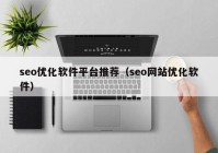 seo优化软件平台推荐（seo网站优化软件）