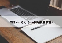 东胜seo优化（seo网站优化软件）