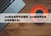 seo优化软件平台推荐（seo网站排名优化软件是什么）